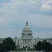  The US Capitol Washington DC